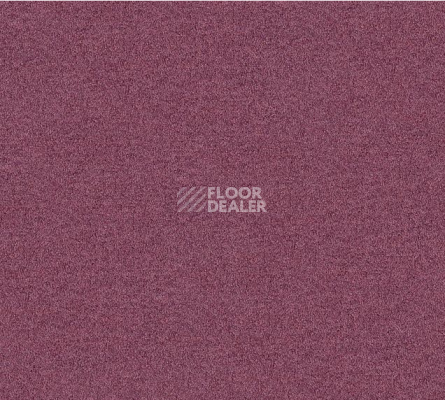 Ковровая плитка Interface Polichrome Solid 4266024 Malva фото 1 | FLOORDEALER